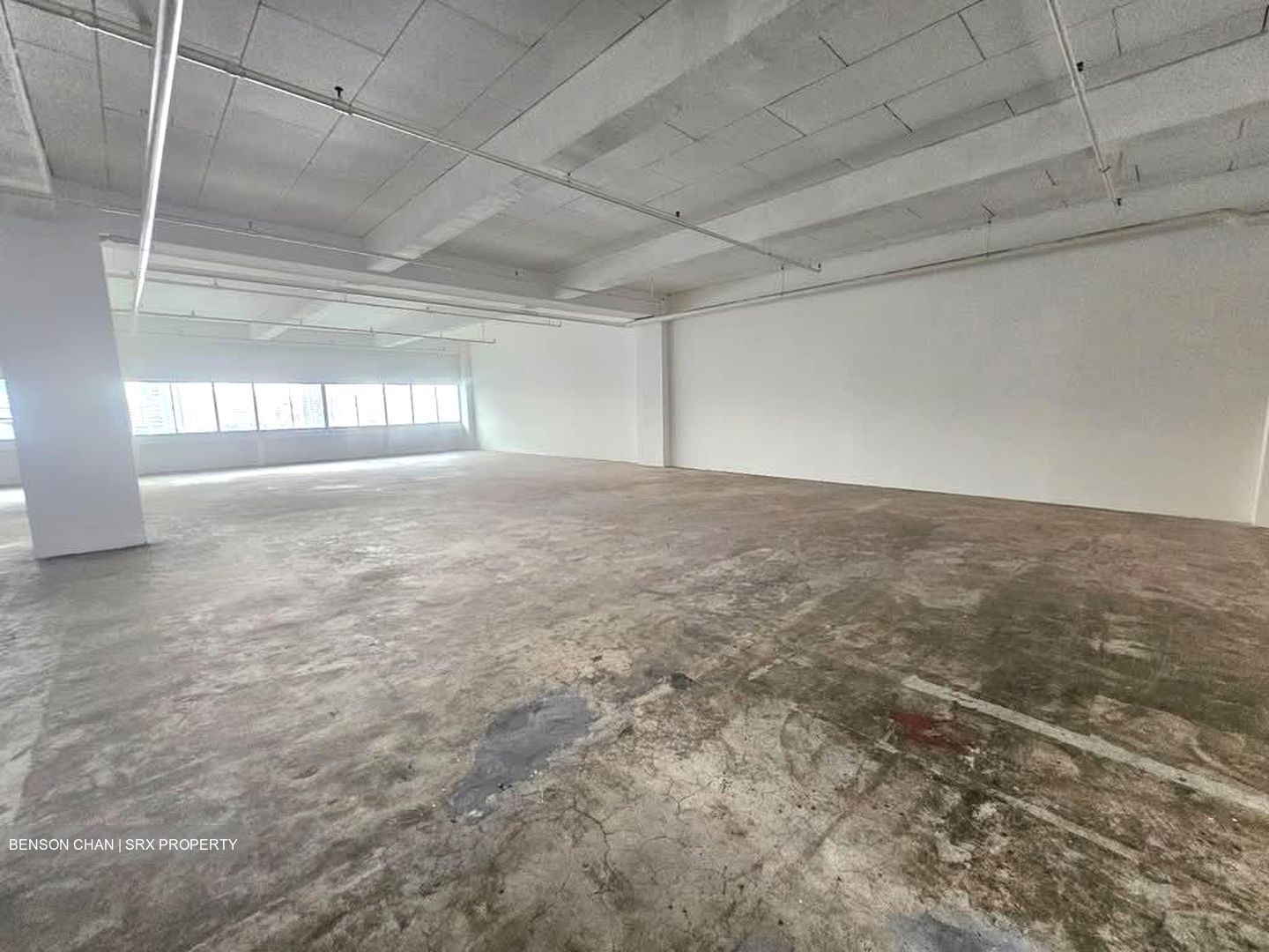 Perfect One (D13), Warehouse #555022411